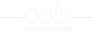 Orca Digital Solution